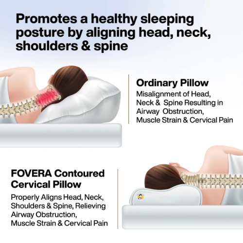 Cervical Orthopedic Pillow with Memory Foam | Contour Design for Neck Pain & Spondylitis Relief | Dual Height Support for Spine Alignment & Better Sleep Quality